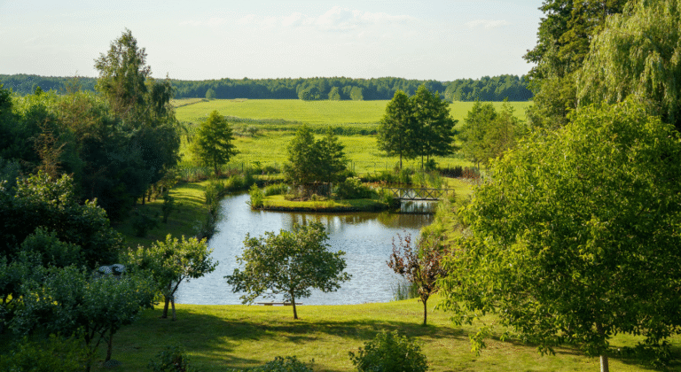 residential-pond-excavation-outta-bounds